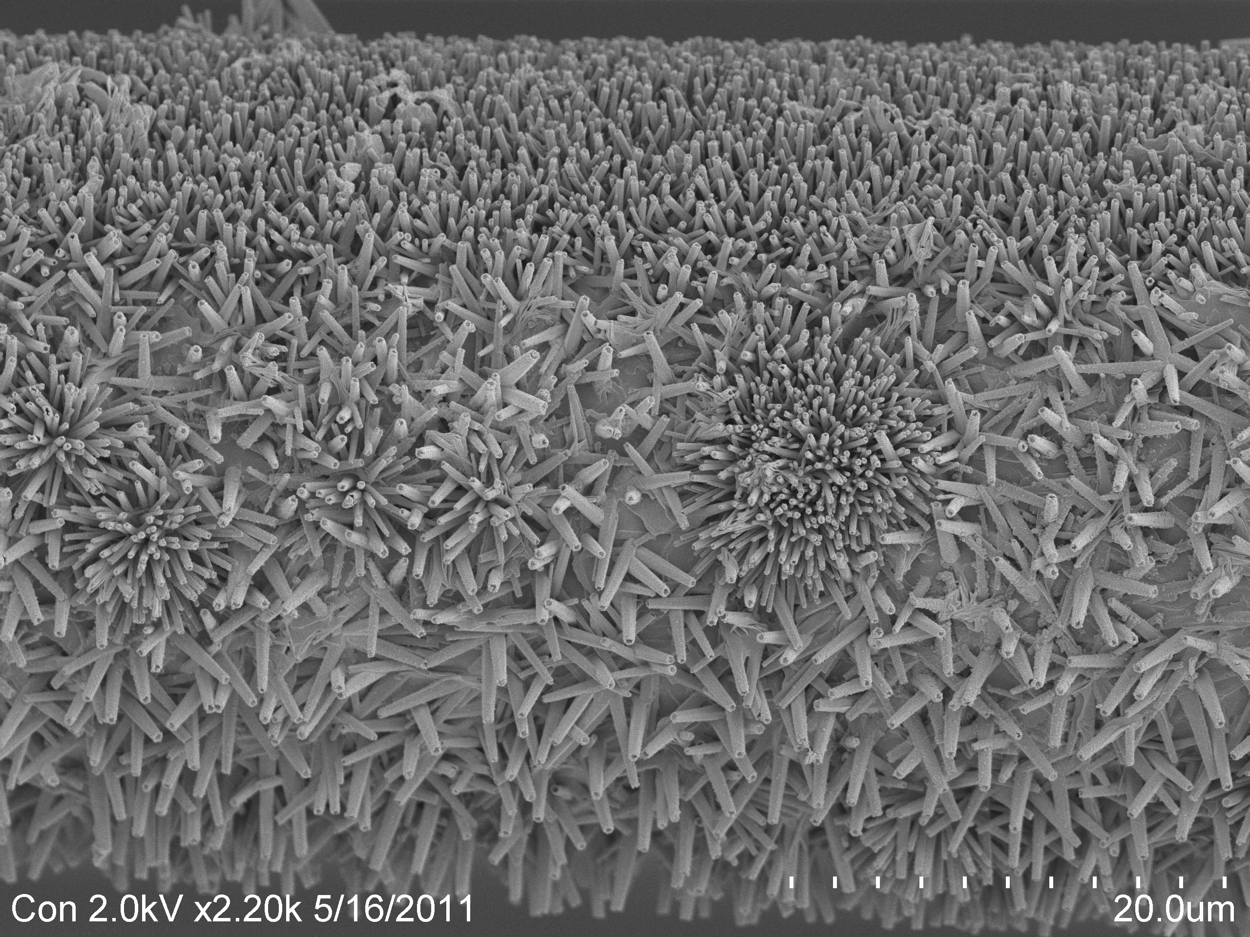 Micro pH Probe Shaft Image by- Alejandro Pezzulo & Tom Moninger