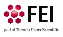 FEI-EndorsedLogo_sq_large-A_0