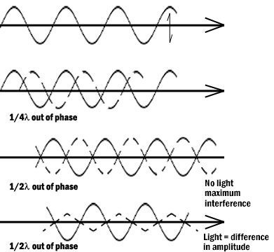 light6