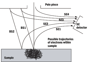 sem10