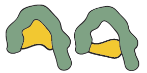 Two abstract shapes with green outer layers and yellow inner sections, resembling irregular arches or tunnels.
