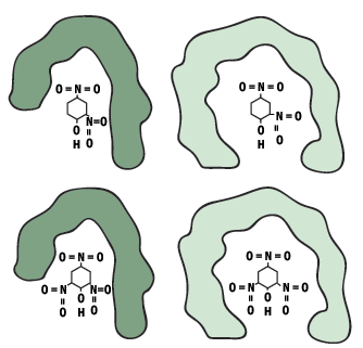 Four diagrams showing variations in the environment around a molecule with chemical structure C6H4N2O5, featuring nitro groups (NO₂) attached to a benzene ring, surrounded by different shapes and green shades.