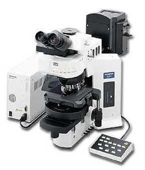 Olympus BX-61 | Central Microscopy Research Facility