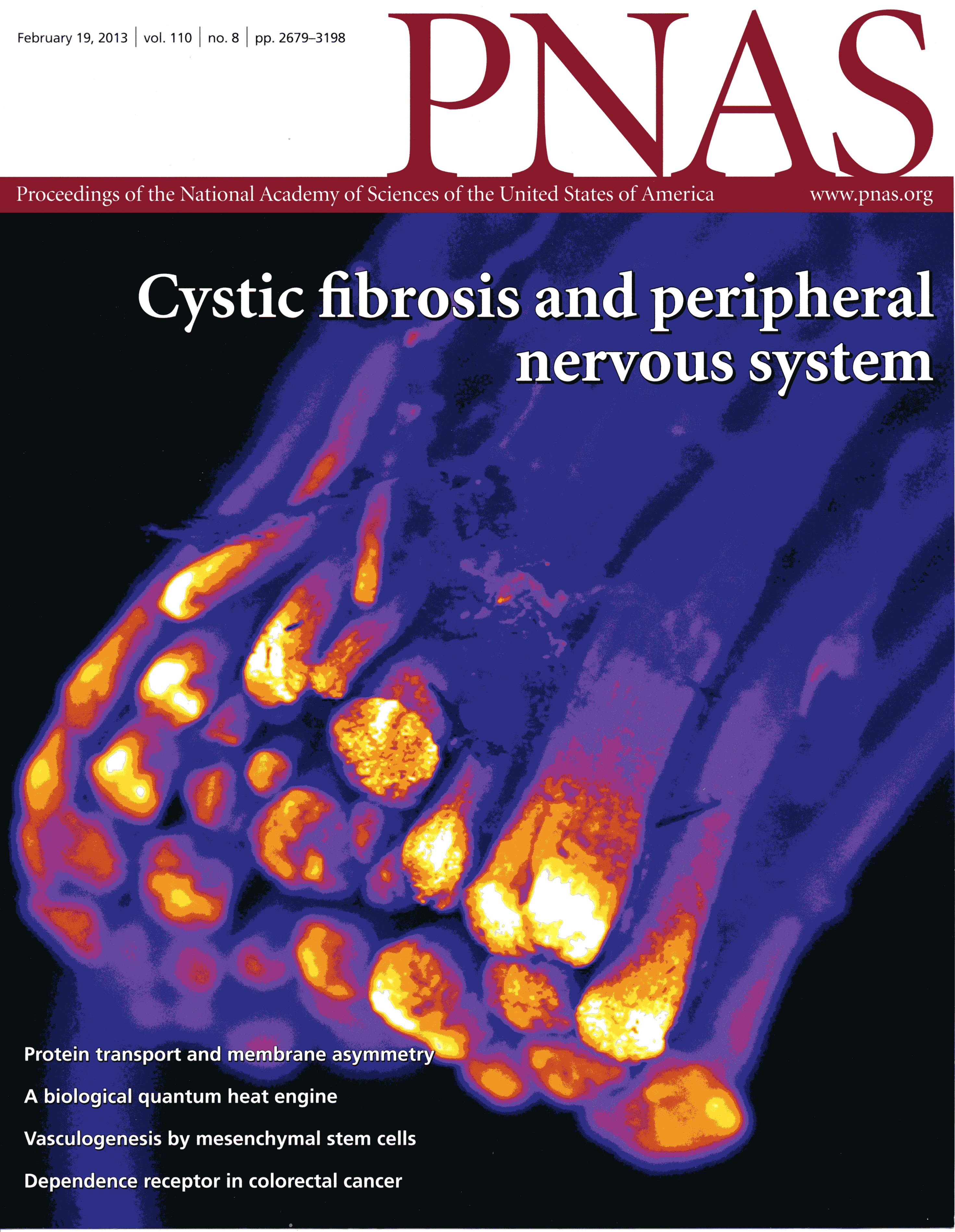 cystic fibrosis and peripheral nervious system