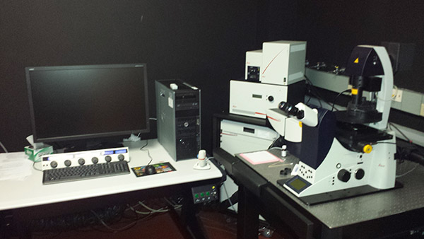 Leica Sp8 Sted Super Resolution Confocal Central Microscopy Research Facility