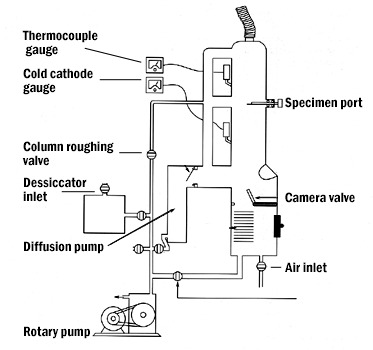 electron microscope with labels