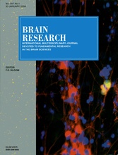 Brain Research