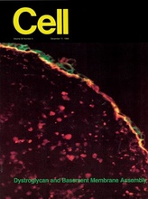 Cell Campbell