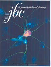 JBC Feb 2008