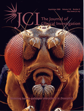 JCI Drosophila