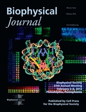 Biophysical Journal 2013