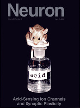 Neuron Acid